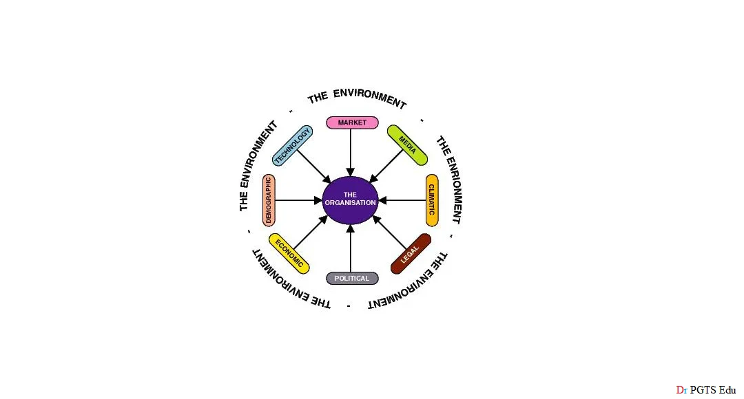 Business Environment features