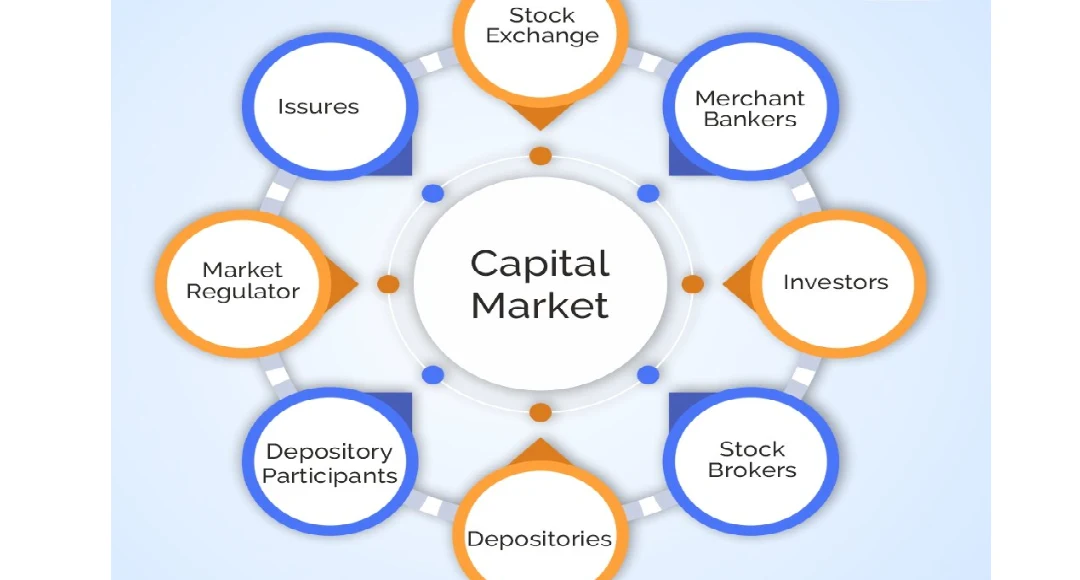 Capital Market Features