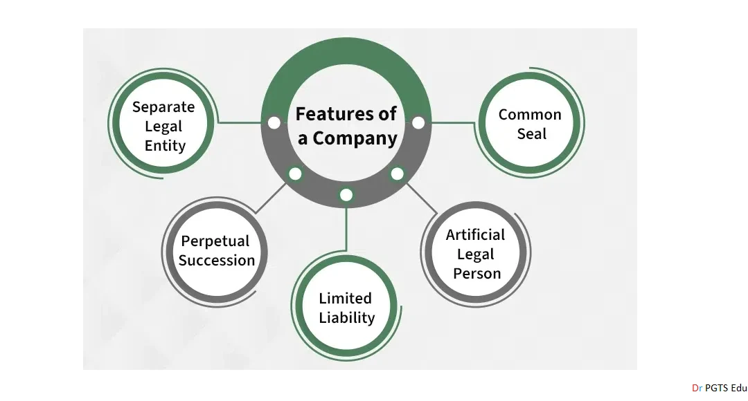 Features of Company Law