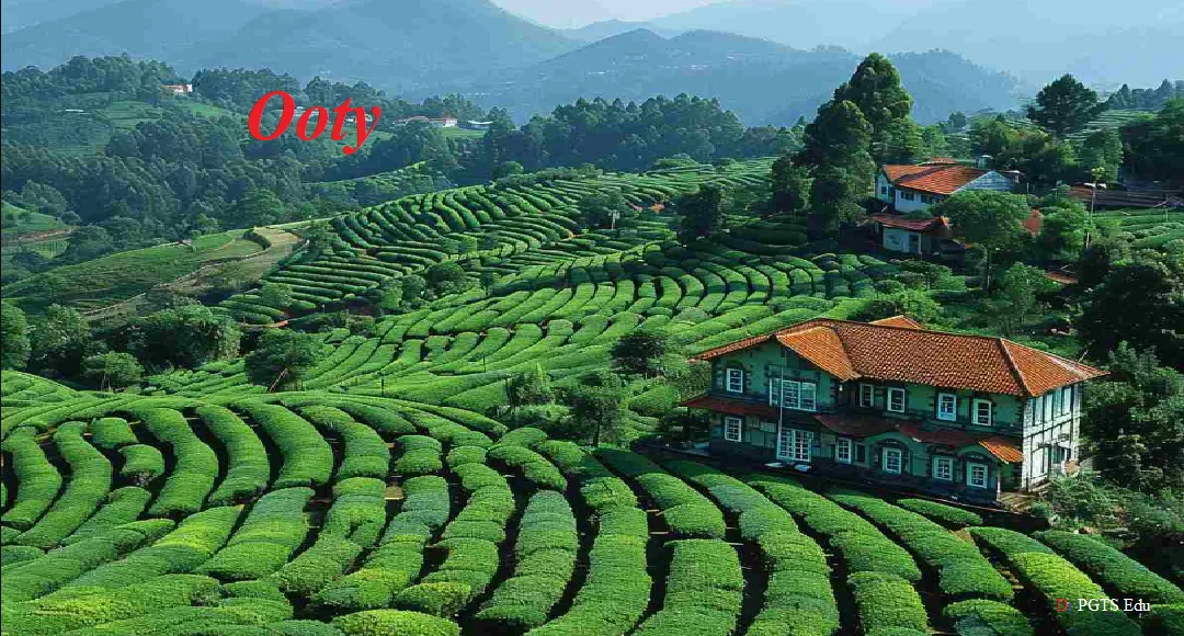 Ooty chocolates