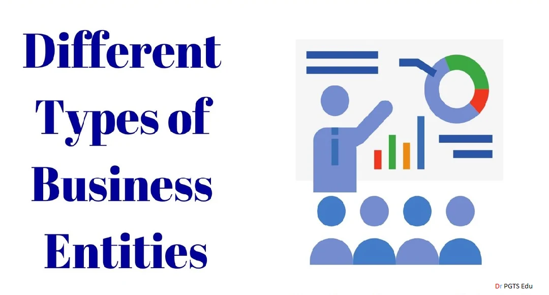 setting up of business entities types