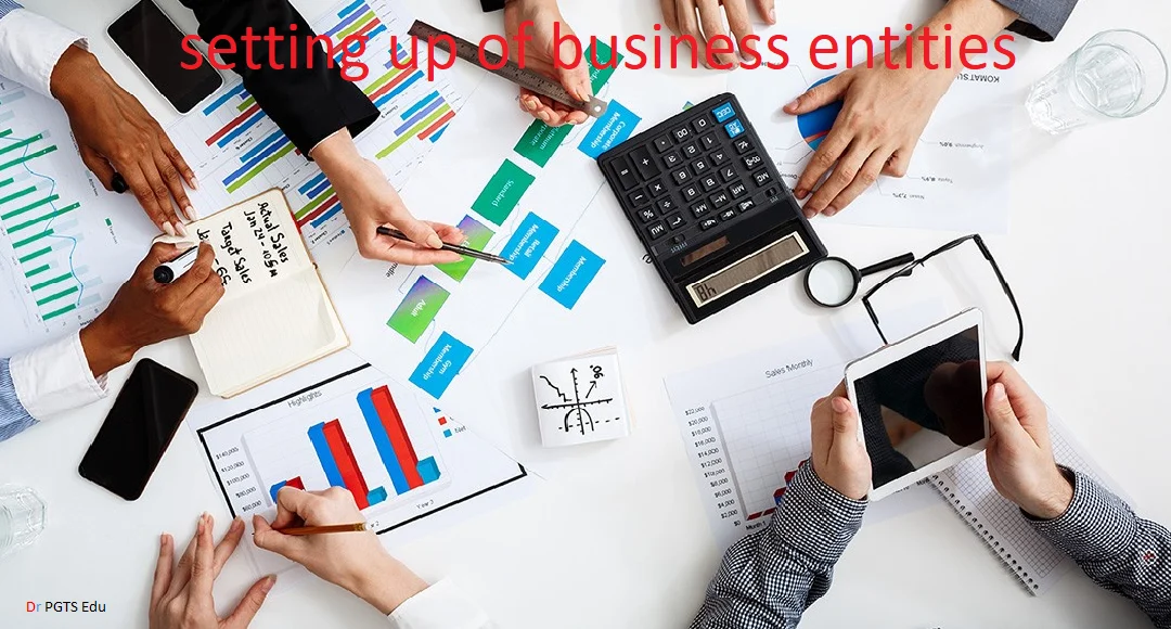 setting up of business entities
