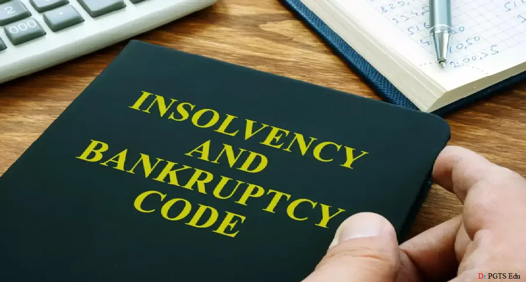 Insolvency Laws and Practice features