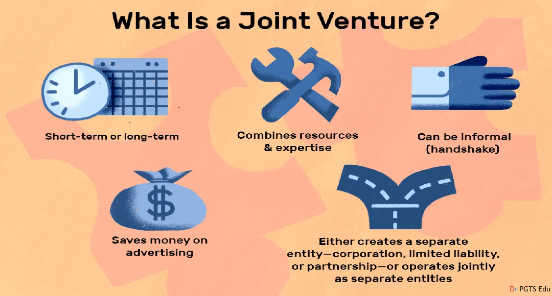 Joint Venture (JV)