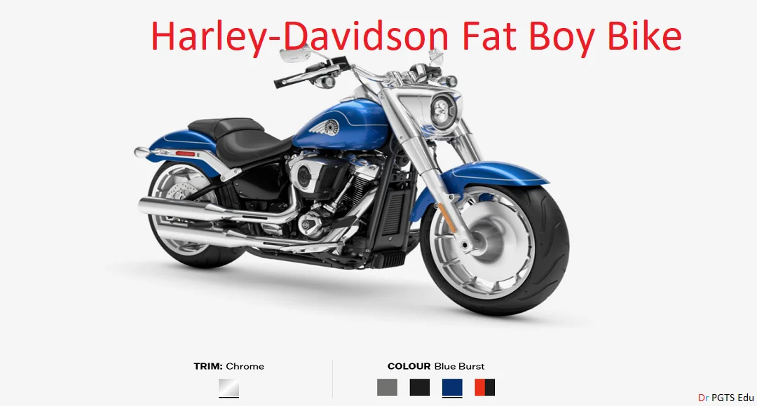 Harley-Davidson Fat Boy Speed