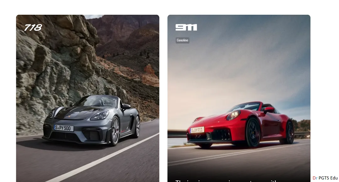 Porsche car Launch date