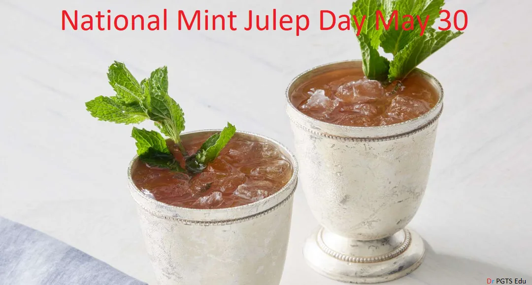 National Mint Julep Day Recipe