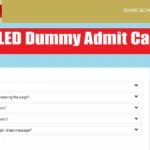 Bihar DELED Dummy Admit Card 2026