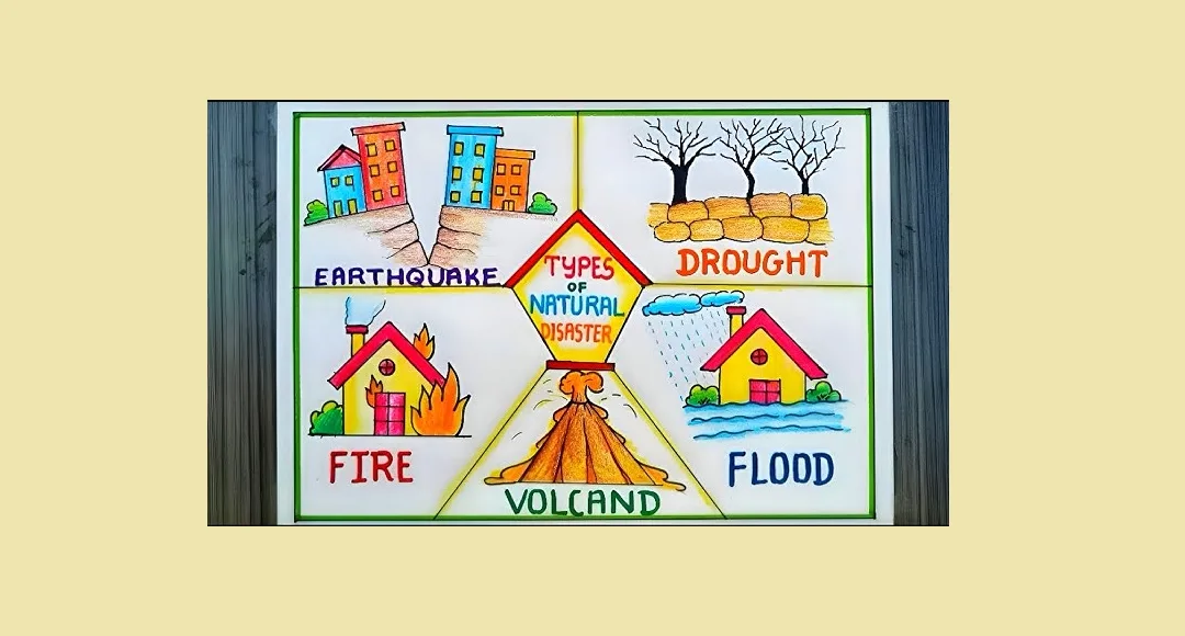 Disaster Management Merits